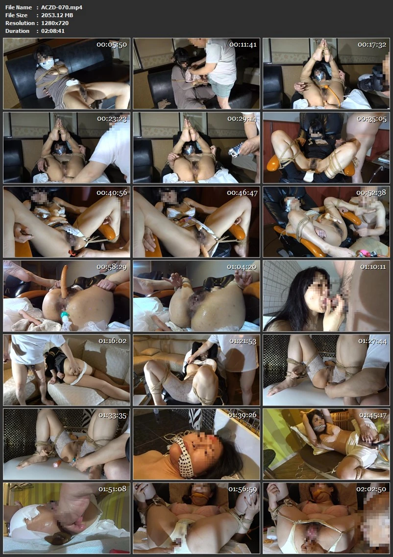 [ACZD-070] 某大学教授の秘匿SM映像 VOL．3 Anal Abnormal Companies 2022-11-11 Defecation