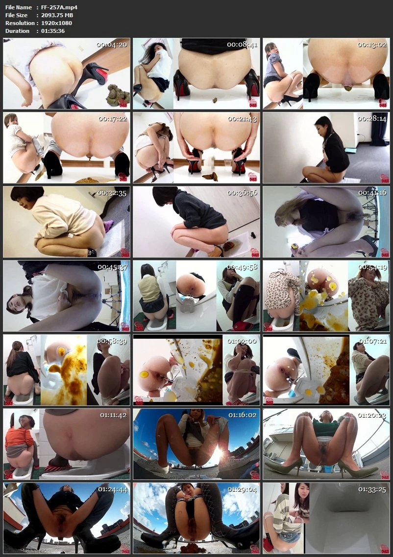 [FF-257] 2017filth うんこのすべて ～今年のうんこ全部入り～ スカトロ Defecation ジェイド