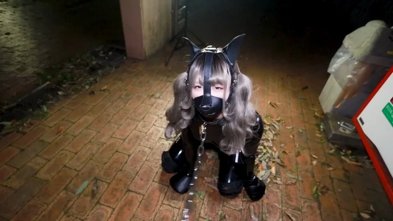 Lemon-049 野外ヒトイヌ (Outdoor Human Dog)