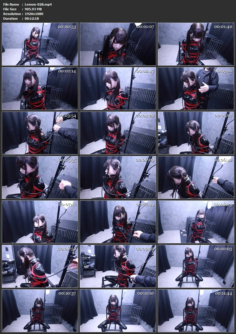 Lemon-028 ラバー緊縛椅子 (Rubber Bondage Chair)