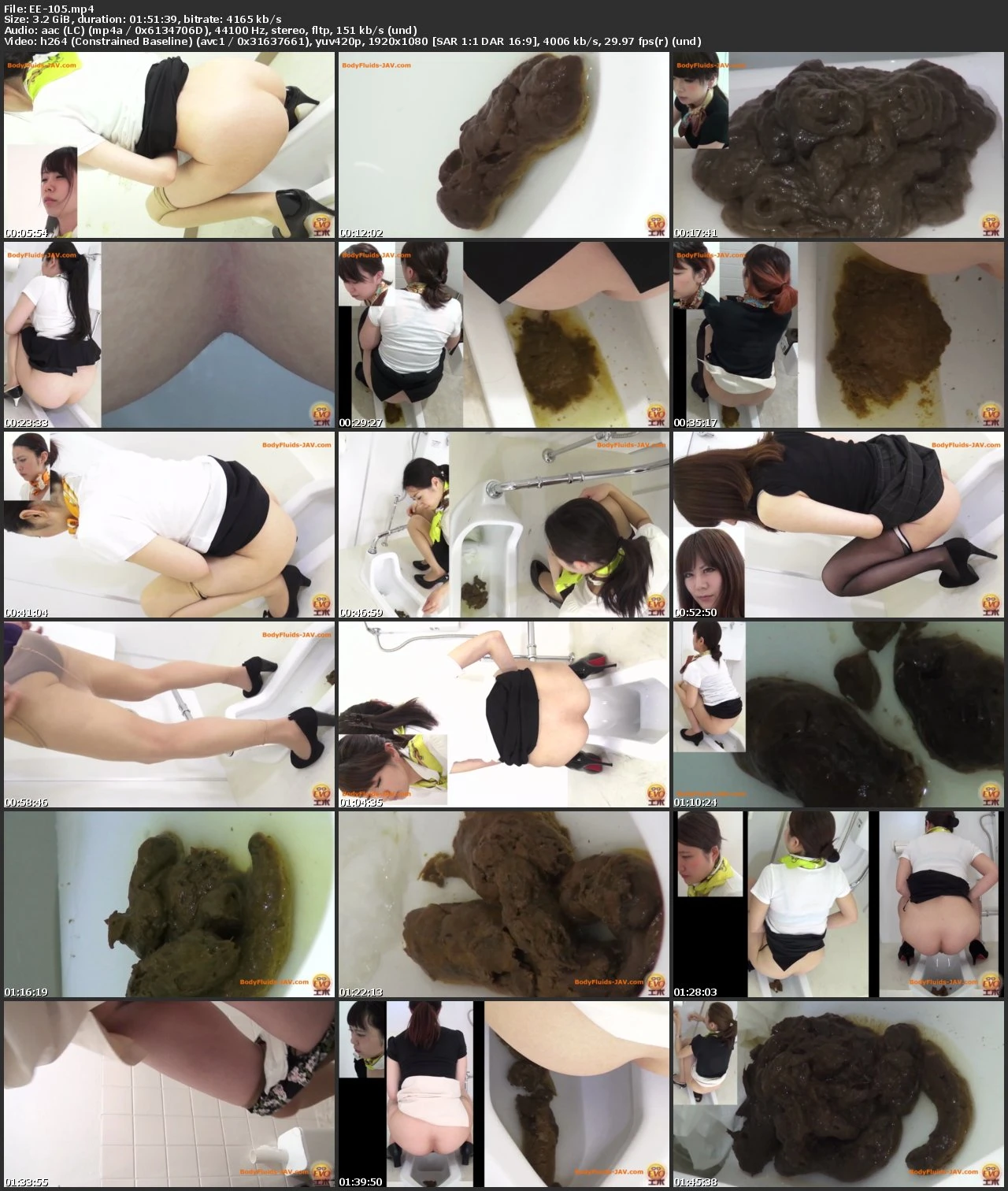 [EE-105] エボ・ビジュアル 盗視5カメトイレ 美容部員うんこ スカトロ Defecation 112分