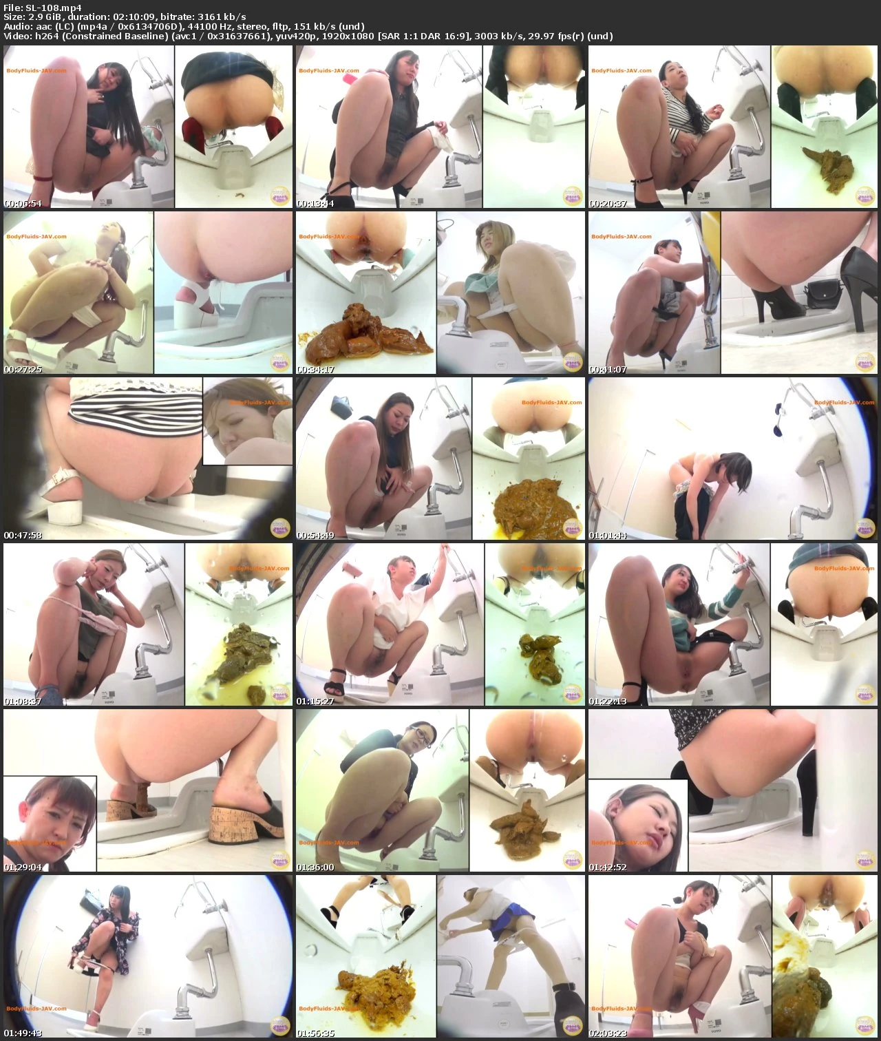 [SL-108] ジェイド 3カメ隠撮限界我慢大便2 ～漏れそなオナラに大小便～ Golden Showers Voyeur 盗撮 脱糞
