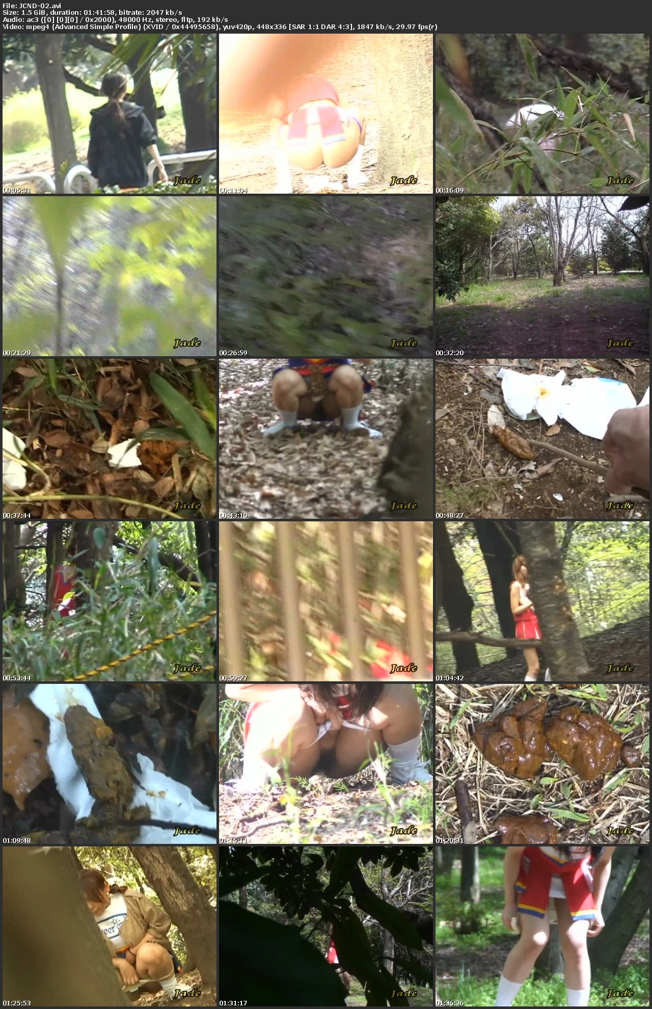 [JCND-02] 隠撮チアガール 野グソ野ション 2 Voyeur Scat 盗撮 Post Other