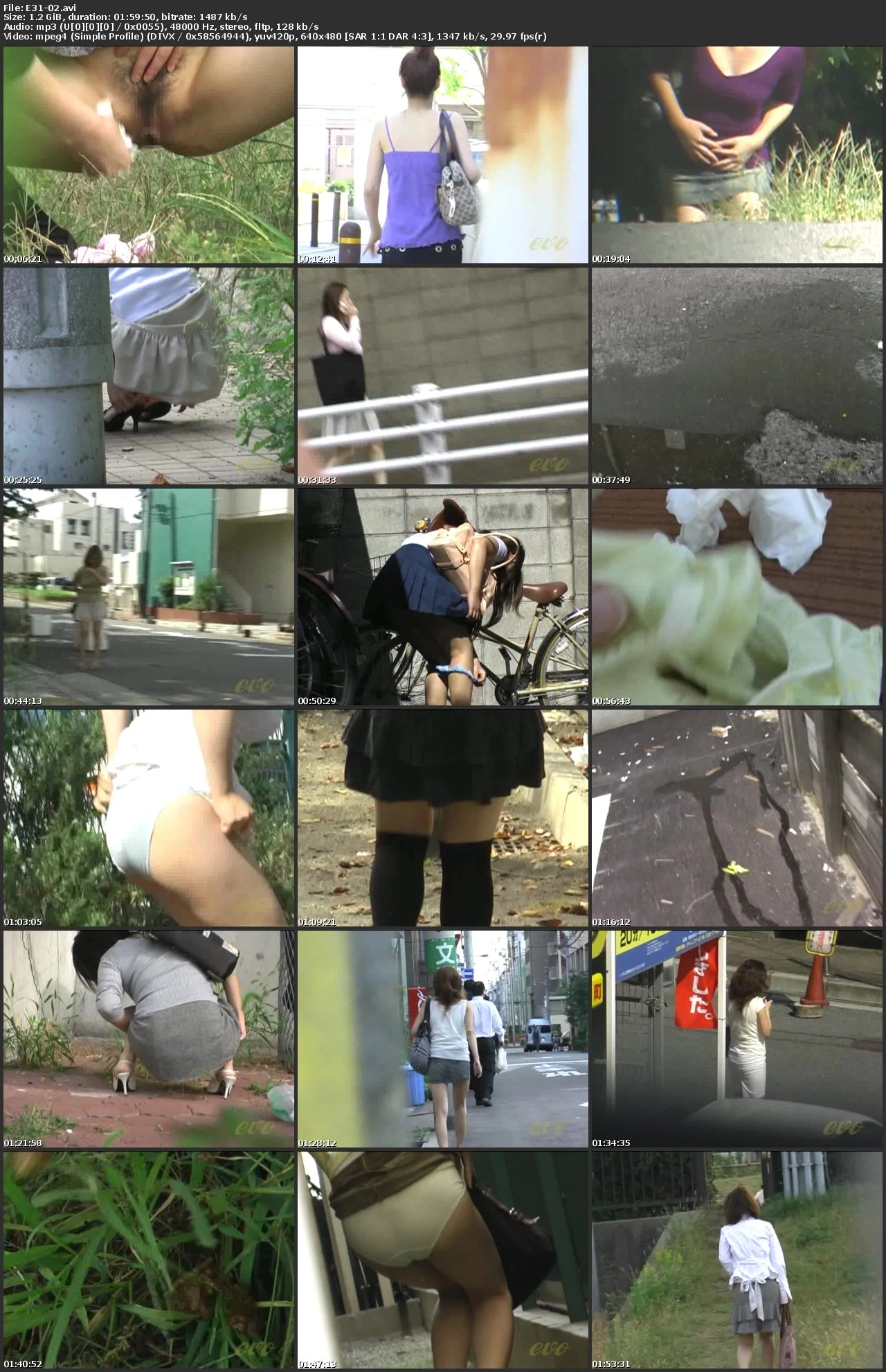 [E31-02] 覗撮 お漏らし失態 野糞 野尿 2 盗撮 その他盗撮 Golden Showers スカトロ 投稿